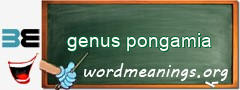 WordMeaning blackboard for genus pongamia